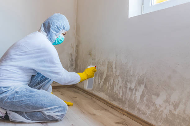 Mold inspector in Culpeper performing thermal imaging